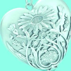 Locket that opens up